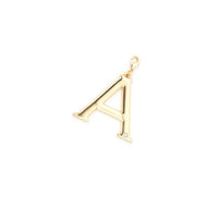 ANTEPRIMA_WIREBAG_FIGURA_MA16FCJ723_Bag_Charm_golden-yellow